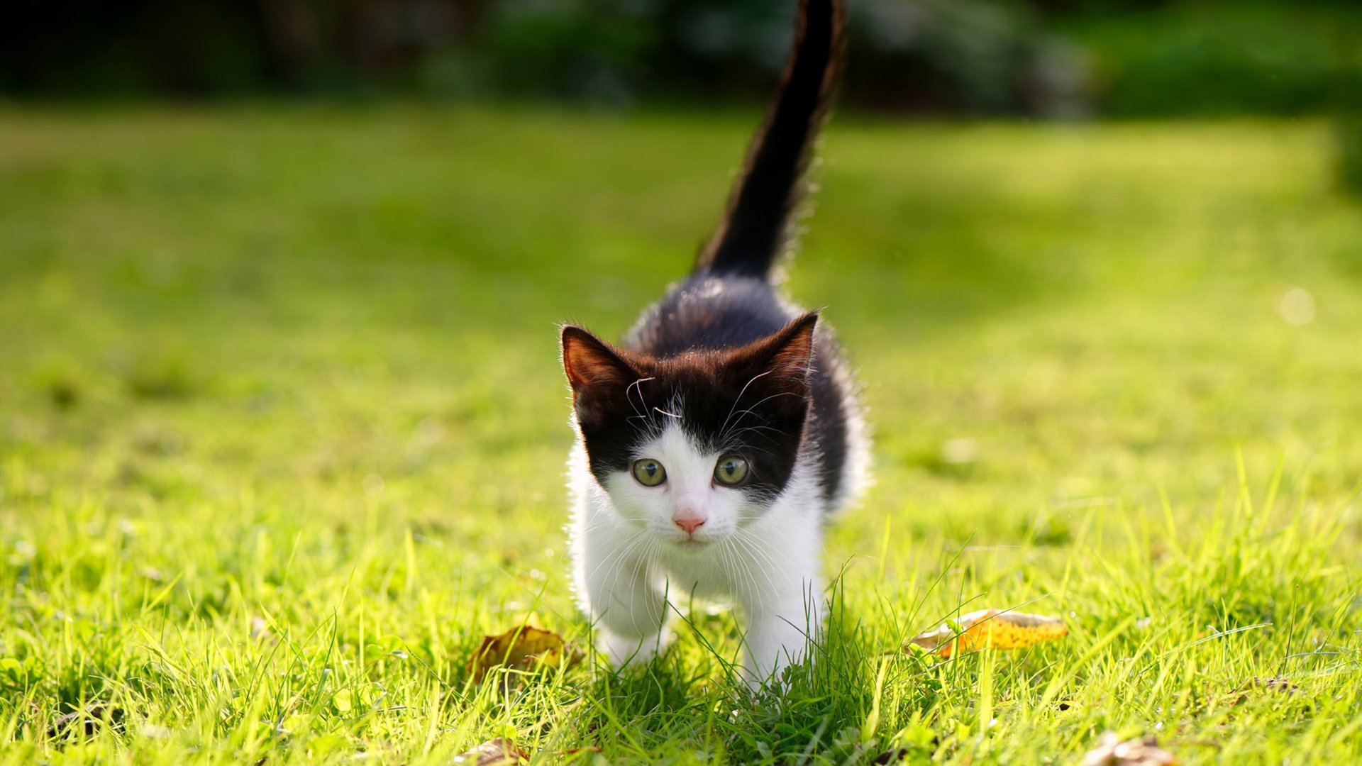 两场险胜，一种精神，体育无疆界的共时交响