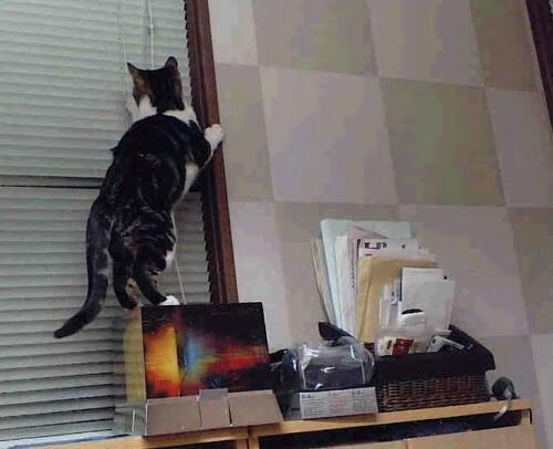 爱游戏tv-当高原的雪遇见丹佛的矿，吉林鏖战新疆，约基奇铸就篮球诗篇