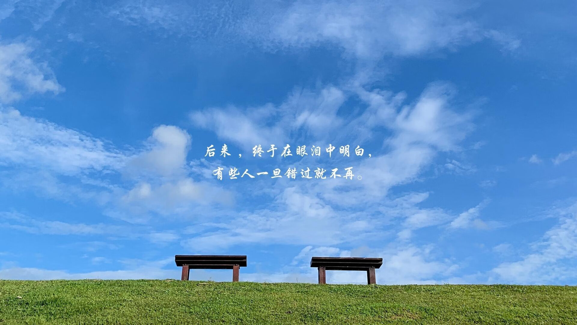 爱游戏下载-约基奇与骑士，荣耀与遗憾的交响曲