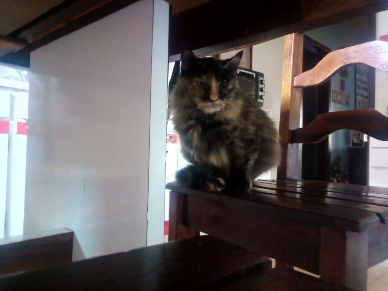 挥镰者的盛宴，克瓦拉茨赫利亚独舞，毕尔巴鄂三球收割拉齐奥