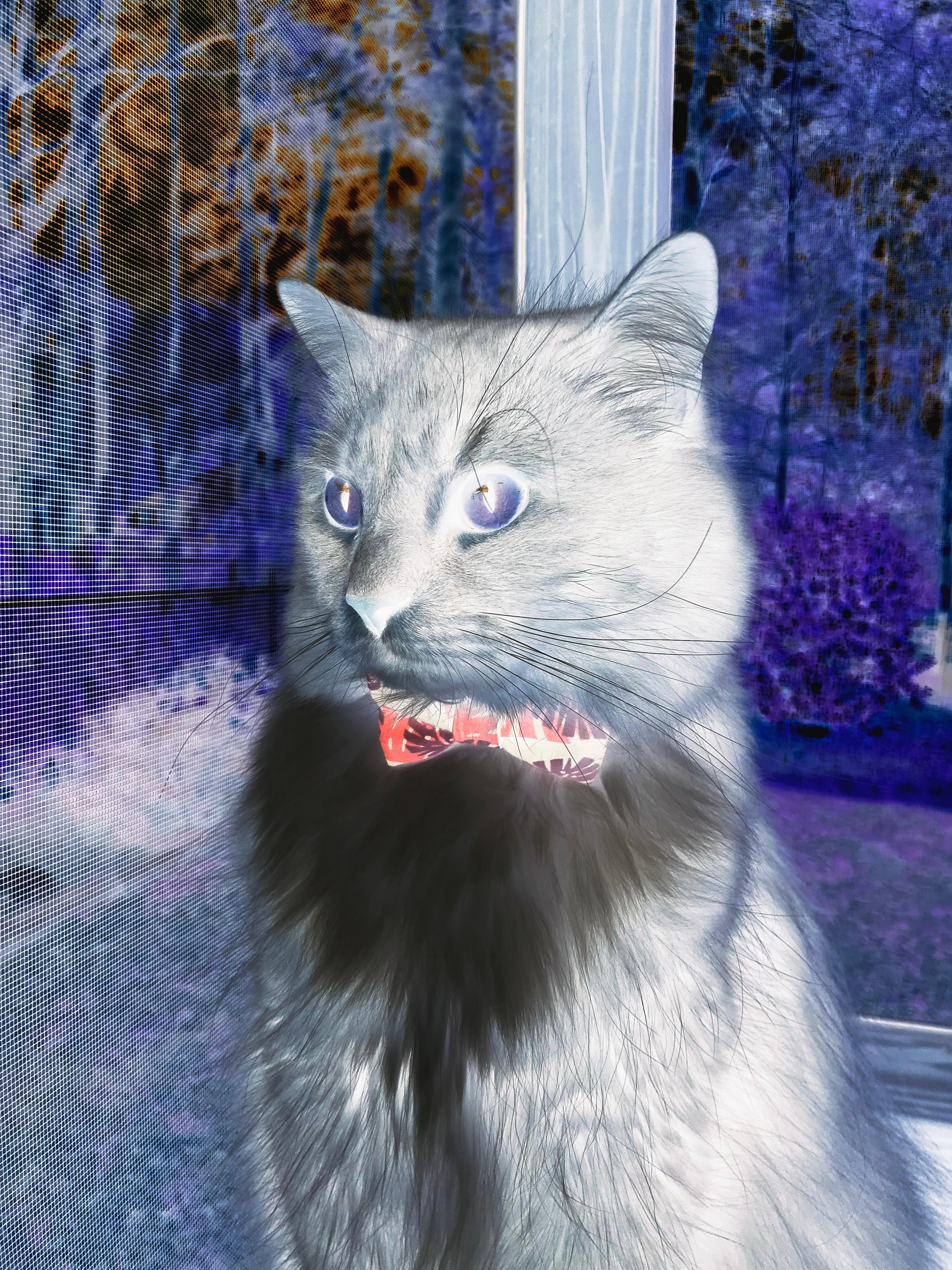 爱游戏在线-破晓的逆转，2026总决赛G7，芝加哥公牛终结奇才三分纪元