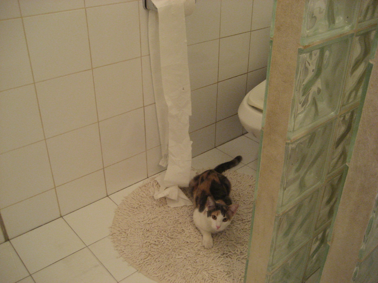 冷门与核心，毕尔巴鄂的逆袭与基米希的证明