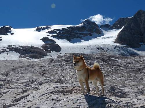 跨越半个地球的续命战,当多特蒙德遭遇南半球的足球魔法