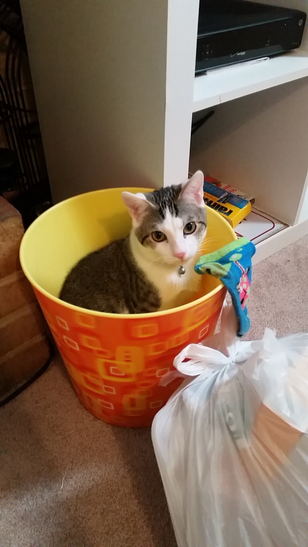 于无声处听惊雷,数据之王与钢铁之师的共同胜利哲学