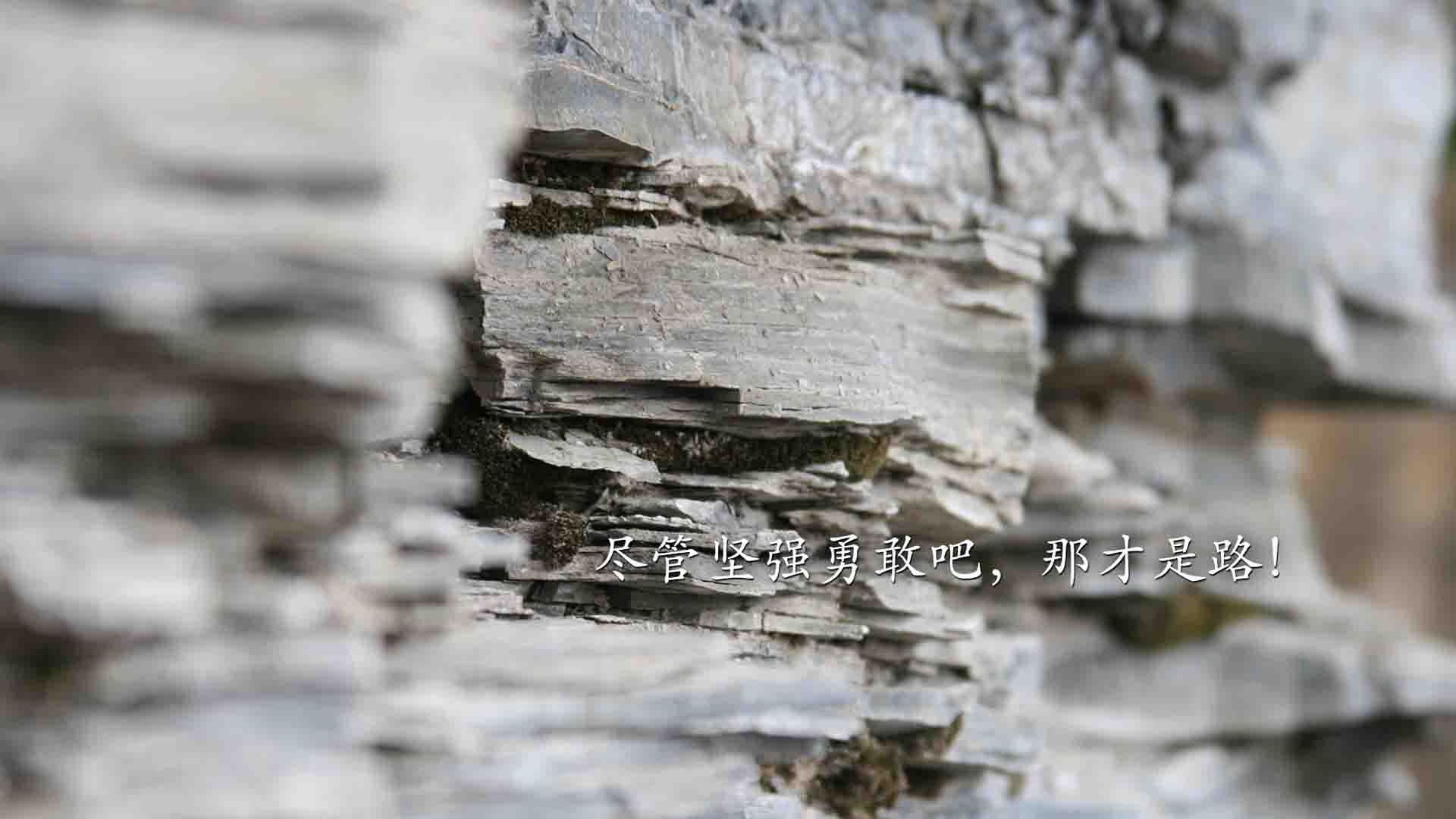 东方铁幕与西方魔法,当防守绞杀遭遇进攻魅影