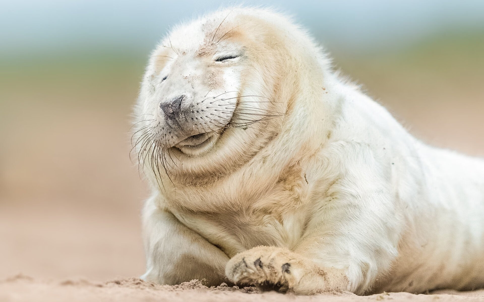 爱游戏体育-那不勒斯惊险胜出！戈麦斯末节闪耀，塞内加尔功亏一篑