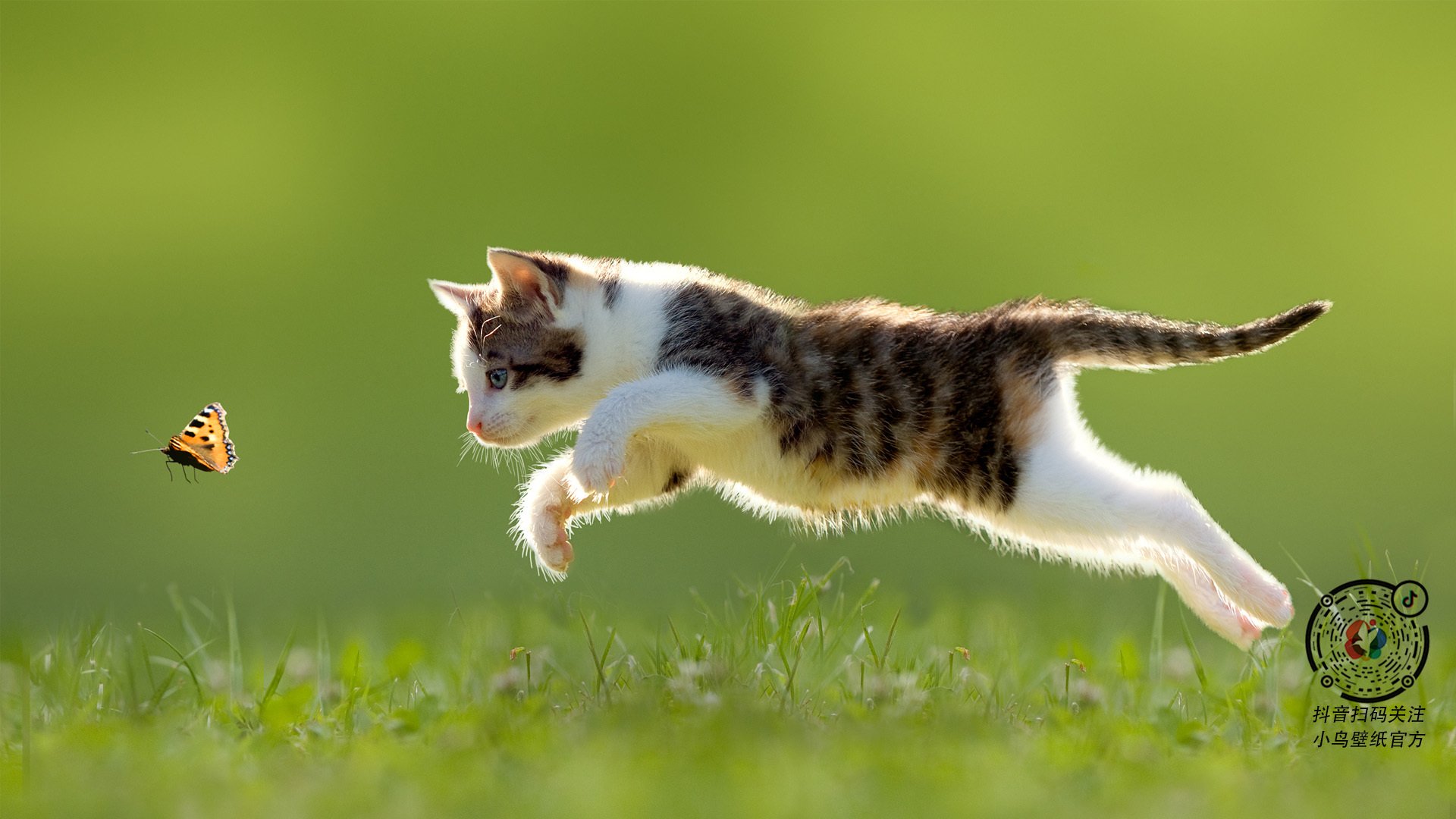 戈麦斯，F1争冠之夜的进攻之王，无人可挡的唯一性