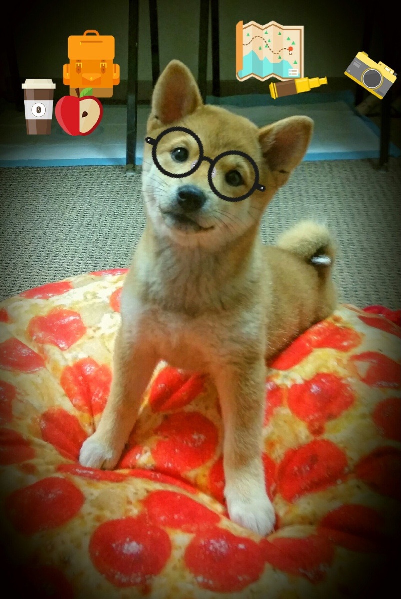 封神之战,哈利伯顿如何让NBA季后赛评分系统爆表?