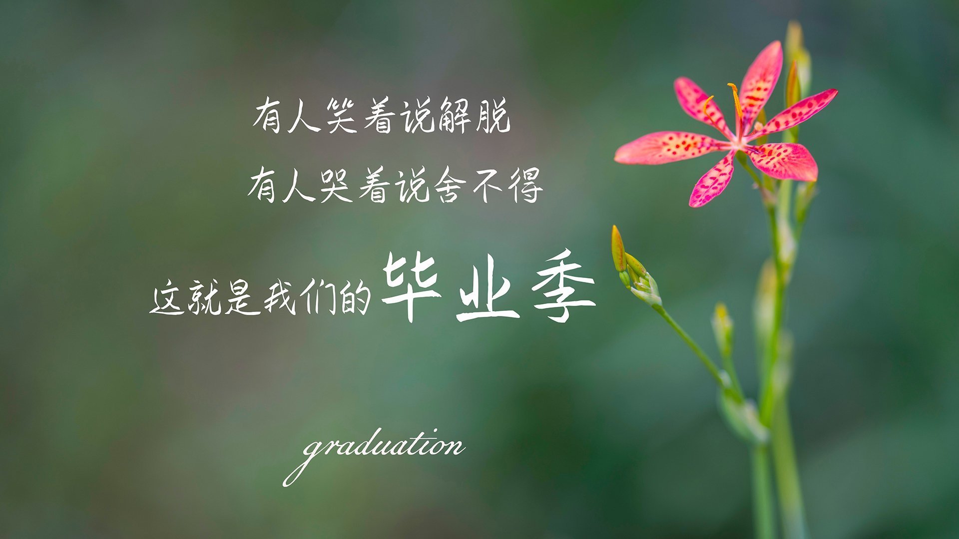 爱游戏-C组死亡之局，喀麦隆的铁骑与三笘薰的独舞，谁主沉浮2026？