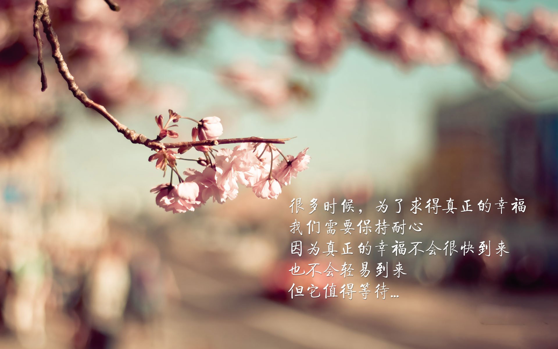 宿命之战,2026世界杯八分之一决赛,智利以铁血防守掀翻巴西,阿诺德一己之力闪耀全场