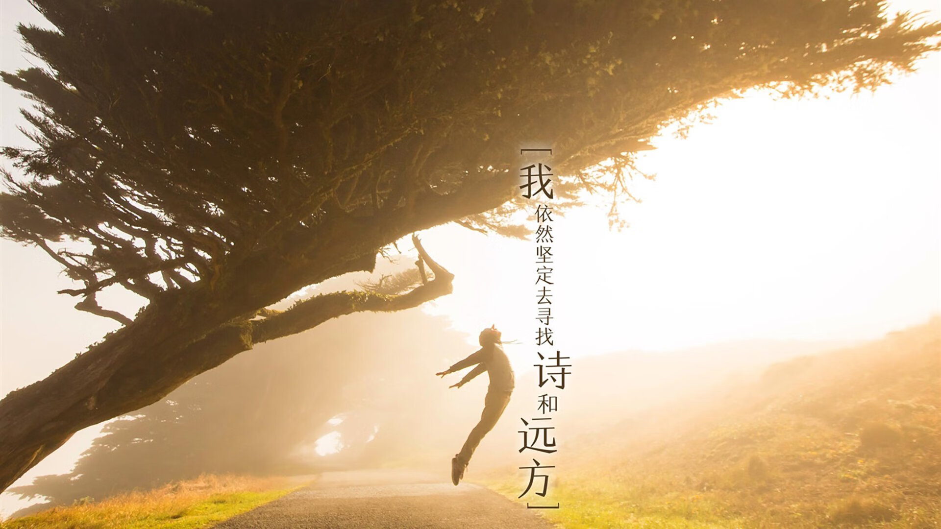 致命一击,铸就永恒—美加墨世界杯焦点战,凯恩绝杀芬兰险胜哥伦比亚